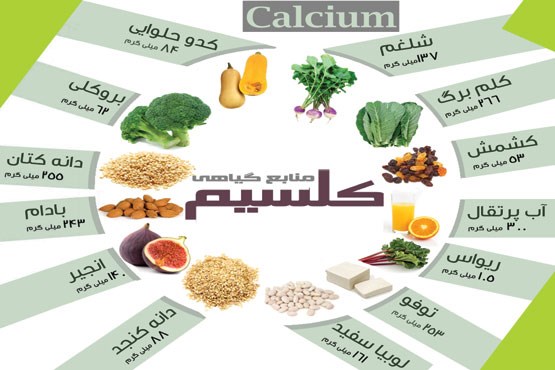 9 ماده غذایی چربی سوز سرشار از کلسیم