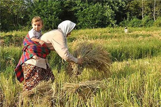 «کِرم» اروپایی‌ها برای ایران