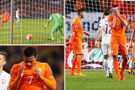 حذف تراژیک و باورنکردنی لاله های نارنجی +[مجموعه عکس]