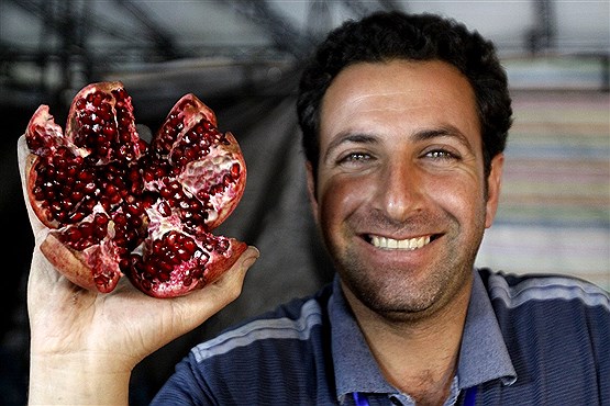 جشنواره انار