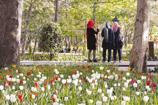 ارتباطات با دوستان طول عمر را زیاد می‌کند