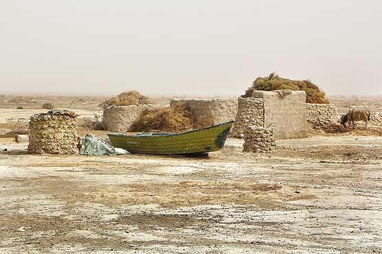 زندگی در «هامون» به گل نشست