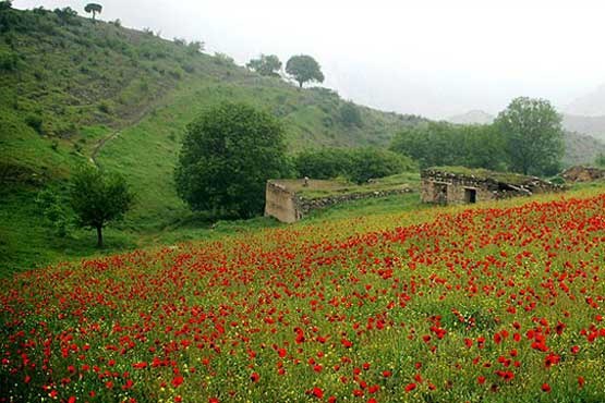 مناطق جنگلی ارسباران