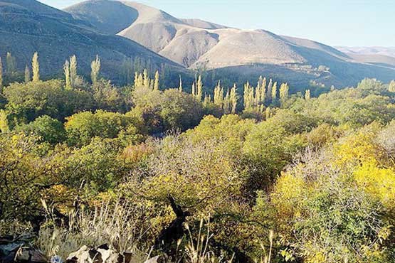 روستای گردشگری برغان