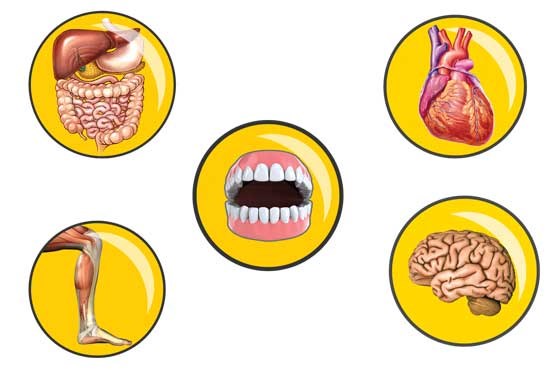 پیشنهادهایی برای حفظ سلامت دندان‌ها در تعطیلات نوروز