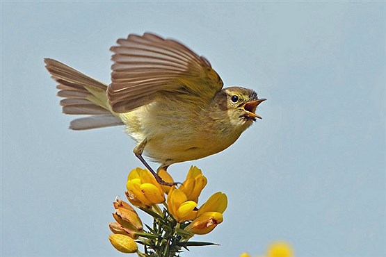 عکس های تماشایی از جانوران