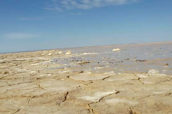 هامون به سیستان جان دوباره می‌دهد