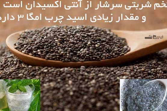 تخم شربتی ،بمب کوچولوی خوردنی