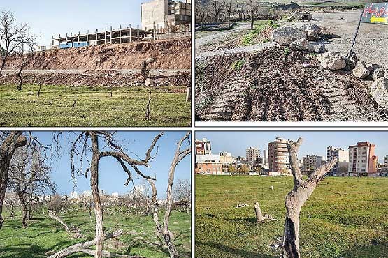 شاهرگ کرمانشاه در آتش طمع می‌سوزد