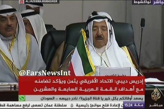 خواب عمیق سران عرب +عکس