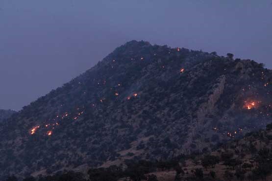 جنگل  «سیاه کوه» آتش گرفت