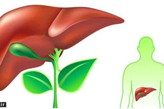 درمان طبیعیِ «کبد چرب»
