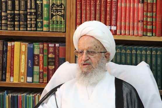 آیت‌الله مکارم‌ شیرازی:جلوی گرانی لجام گسیخته گرفته شود
