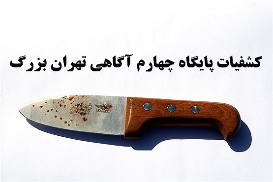 دستگیری 100 سارق سابقه دار در تهران
