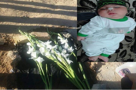 پایان تلخ زندگی نباتی "امیر عباس" + عکس