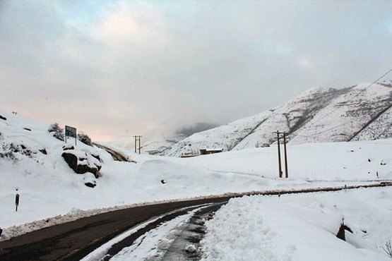 بارش برف در ارتفاعات البرز/ بارندگی در محور چالوس