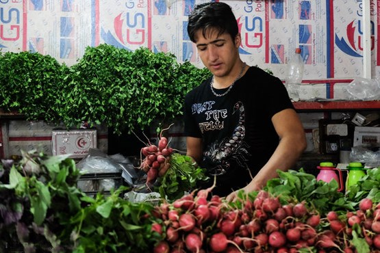 خسارت ۲۳ میلیاردی به سبزی‌کاران طبسی