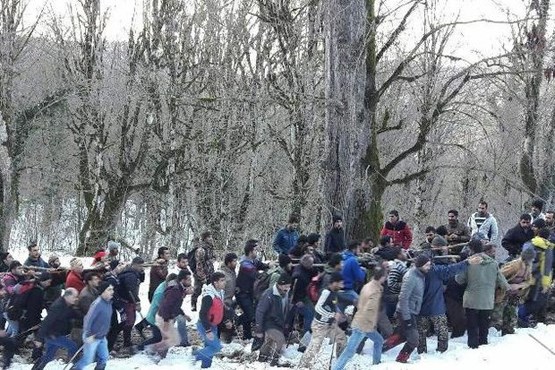 خروج از بحران سپید با ۵ کشته در چالوس + عکس