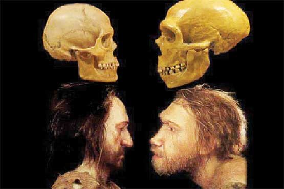 2600 قطعه ابزار جدید از نئاندرتالها در کرمانشاه کشف شد 2600 قطعه ابزار جدید از نئاندرتالها در کرمانشاه کشف شد