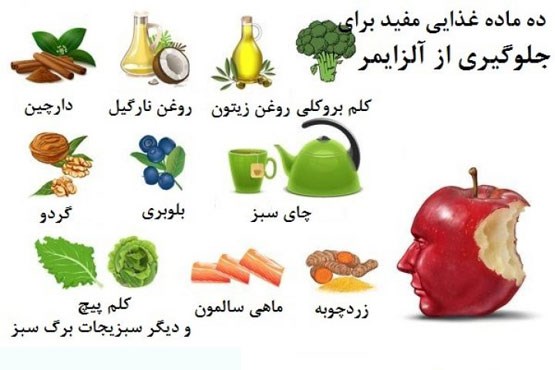 با این مواد غذایی آلزایمر را ضربه فنی کنید!