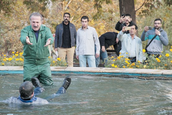 بازار داغ تلویزیون در زمستانی که گذشت