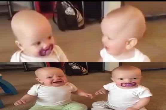 نزاع دوقلوها بر سر پستونک