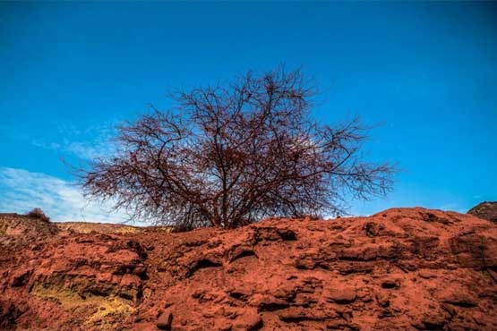 جزیره اسرارآمیزی در ایران که خاکش قابل خوردن است