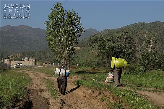 زنان سخت کوش مریوان