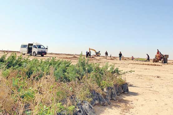 نبرد با بیابان