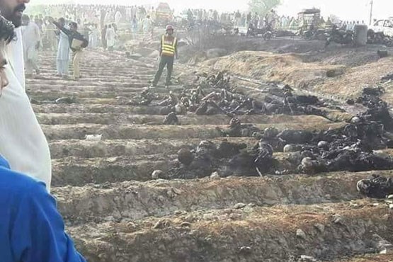 تلفات آتش‌ سوزی تانکر نفت در پاکستان به 157 تن رسید