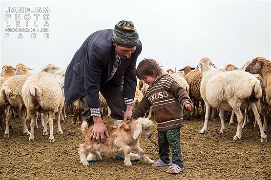 زندگی با طبیعت