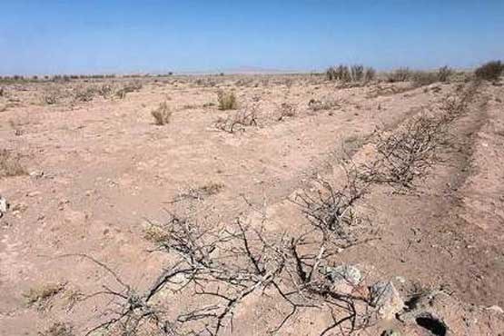فاجعه زیست محیطی در دشت ورامین