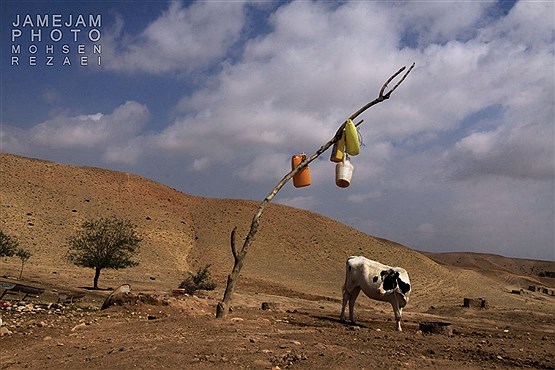 زندگی در خشکسالی و محرومیت