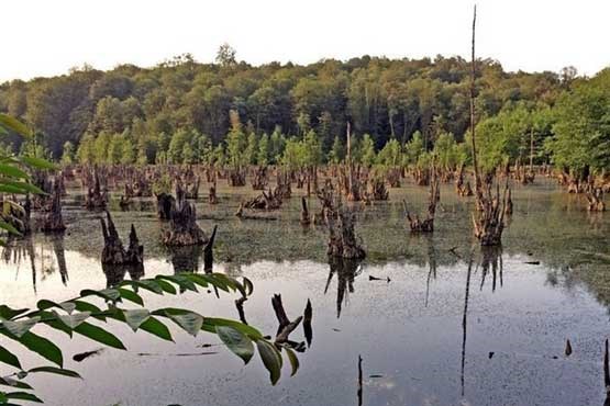 دریاچه ارواح و سرزمین سیاه در ایران! +عکس