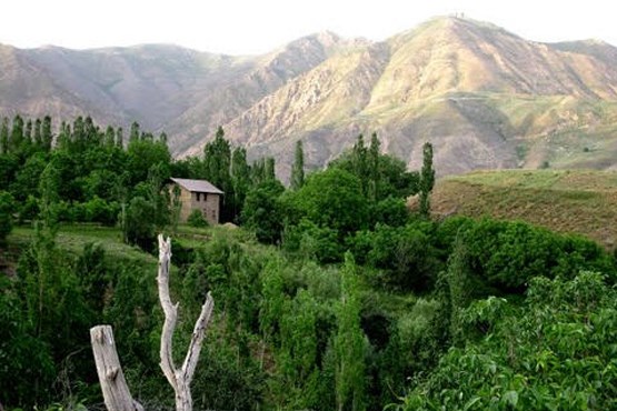 روستایی که همه سادات هستند