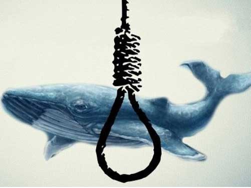 جستجوی عبارت "نهنگ آبی" در ایران در حال افزایش است