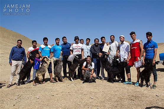 جشنواره ورزشی همگانی