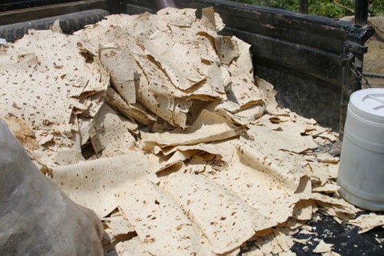 وقتی نان هم سرطانی میشود!/ هشدار درباره "آفلاتوکسین" و "جوهر قند" موجود در نانها وقتی نان هم سرطانی میشود!/ هشدار درباره "آفلاتوکسین" و "جوهر قند" موجود در نانها