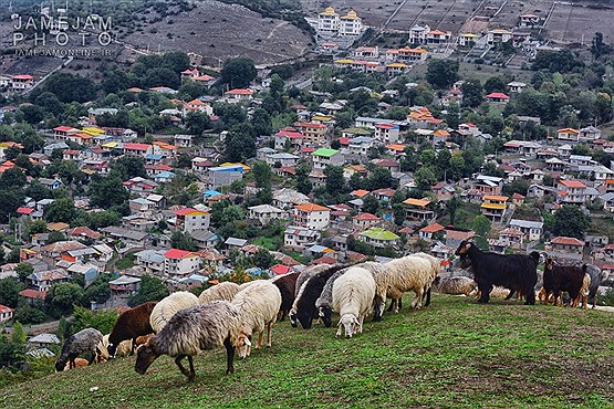 ارتفاعات روستای فیلبند