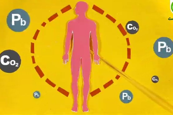 نقش تغدیه در آلودگی هوا قسمت 2