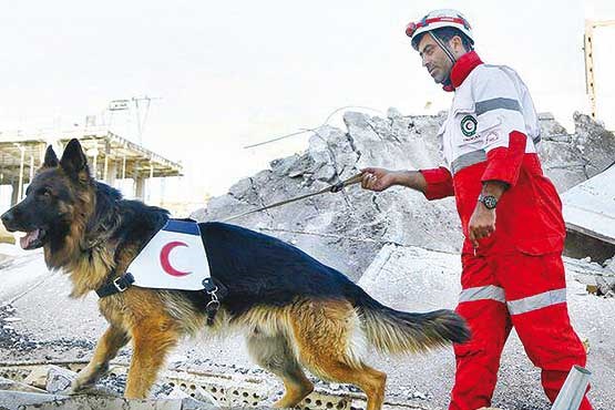 مرگ مهمانان جشن تولد