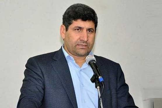 سید ضیاء هاشمی مدیرعامل ایرنا شد