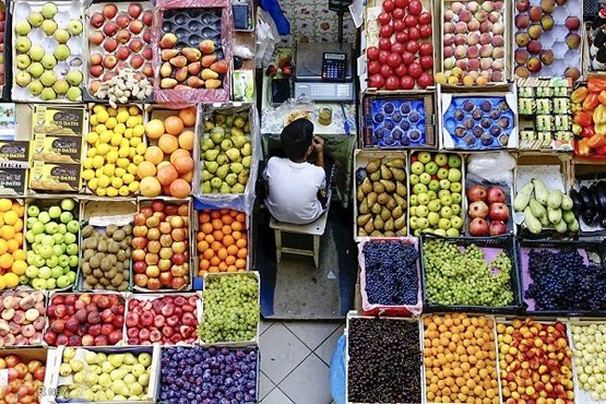 ادامه طرح تخفیفات نوروزی سازمان میادین میوه وتره بار تا ۲۵فروردین