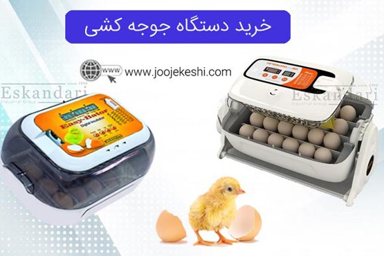 خرید دستگاه جوجه کشی