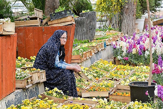 بازار گل و گیاه در آستانه نوروز