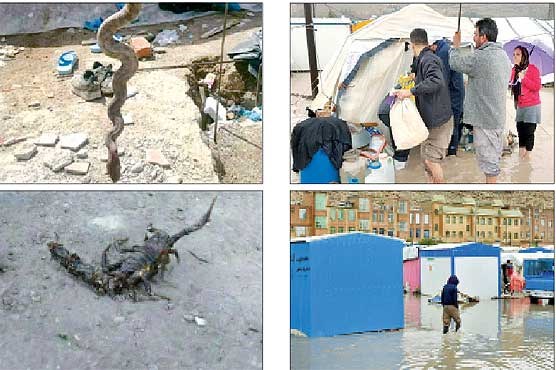 چه بدرفتاری ای چرخ، سرکین داری ای چرخ چه بدرفتاری ای چرخ، سرکین داری ای چرخ