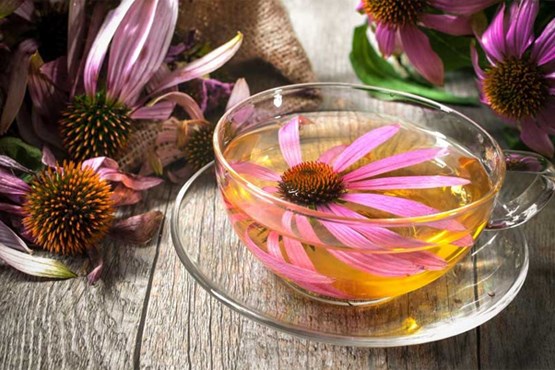 10 گیاه دارویی باستانی که همچنان تاثیرات شگفت انگیزی دارند