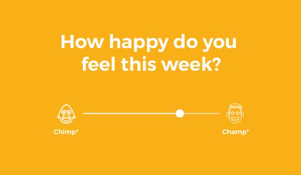 با استفاده از این اپلیکیشنها، دورکاری را راحتتر کنید با استفاده از این اپلیکیشنها، دورکاری را راحتتر کنید