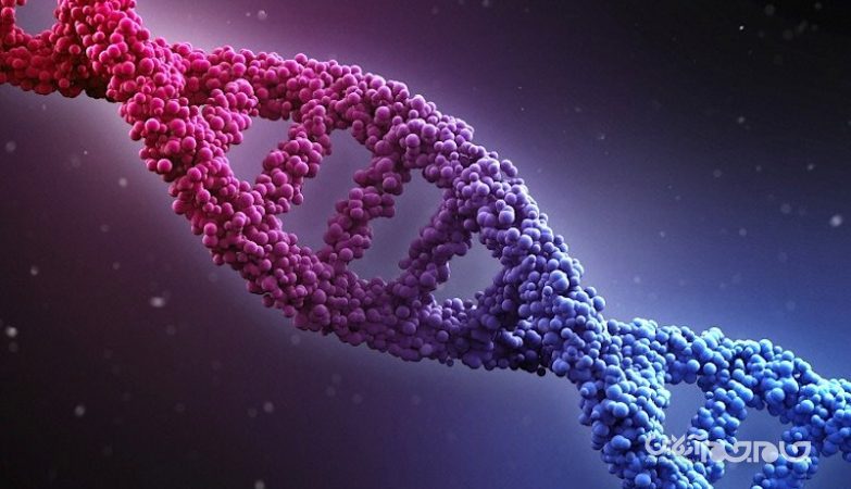 ویروس کرونا مواد ژنتیکی خود را وارد کروموزوم‌های انسان می‌کند+عکس