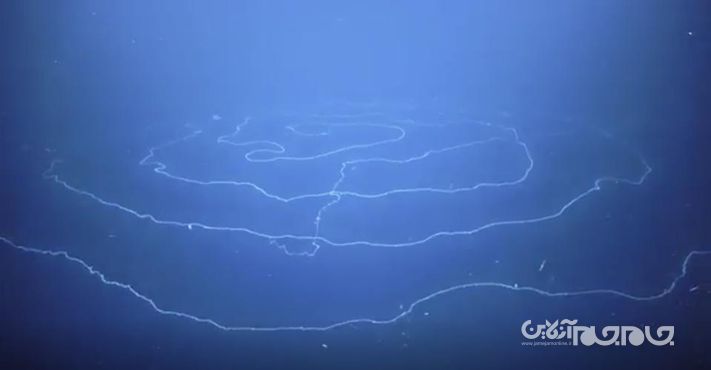 شکسته شدن ۱۰ رکورد علمی در سال ۲۰۲۰+عکس